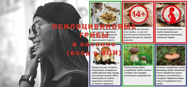 прущая мука Богородицк