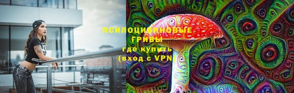 прущая мука Богородицк